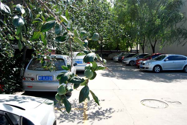 鸿运国际·(中国)会员登录入口