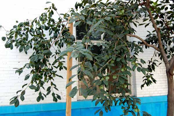 鸿运国际·(中国)会员登录入口